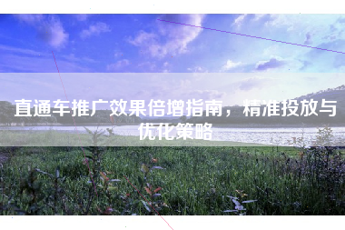 直通车推广效果倍增指南，精准投放与优化策略