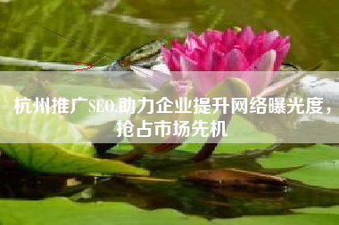 杭州推广SEO,助力企业提升网络曝光度，抢占市场先机