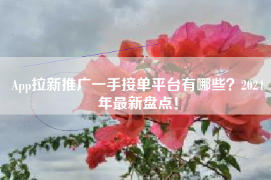 App拉新推广一手接单平台有哪些？2024年最新盘点！