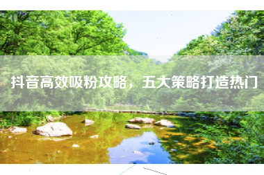 抖音高效吸粉攻略，五大策略打造热门