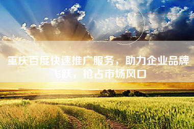 重庆百度快速推广服务，助力企业品牌飞跃，抢占市场风口