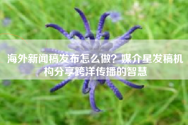 海外新闻稿发布怎么做？媒介星发稿机构分享跨洋传播的智慧