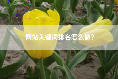 网站关键词排名怎么做？