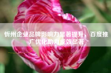 忻州企业品牌影响力显著提升，百度推广优化助力成效显著