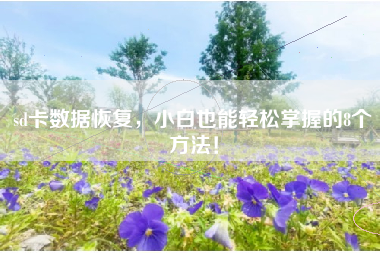sd卡数据恢复，小白也能轻松掌握的8个方法！