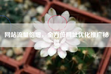 网站流量倍增，全方位网址优化推广秘籍