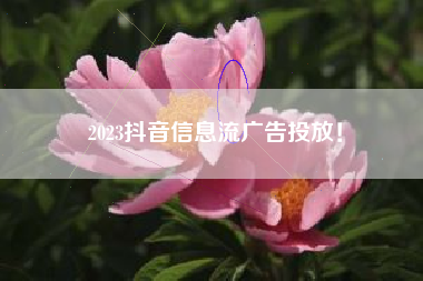 2023抖音信息流广告投放！