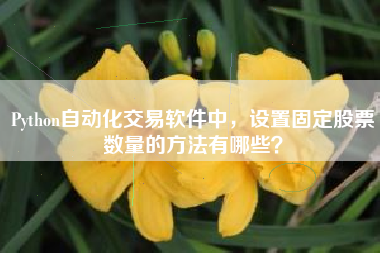 Python自动化交易软件中，设置固定股票数量的方法有哪些？
