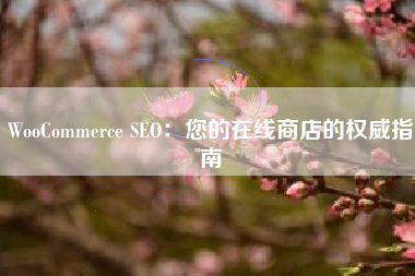 WooCommerce SEO：您的在线商店的权威指南