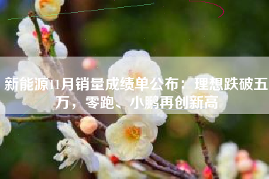 新能源11月销量成绩单公布：理想跌破五万，零跑、小鹏再创新高