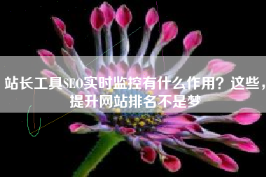 站长工具SEO实时监控有什么作用？这些，提升网站排名不是梦