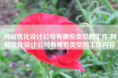 网站优化设计公司有哪些类型的工作-网站优化设计公司有哪些类型的工作内容