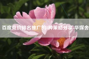 百度竞价排名推广的8种策略分享-华媒舍