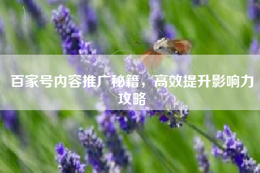 百家号内容推广秘籍，高效提升影响力攻略