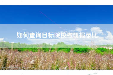 如何查询目标院校考研报录比