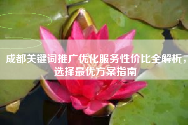 成都关键词推广优化服务性价比全解析，选择最优方案指南