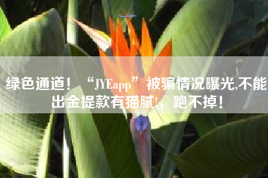绿色通道！“JYEapp”被骗情况曝光,不能出金提款有猫腻!，跑不掉！