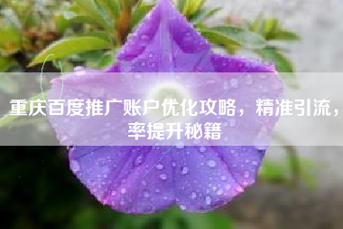 重庆百度推广账户优化攻略，精准引流，率提升秘籍