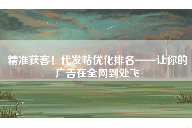 精准获客！代发帖优化排名——让你的广告在全网到处飞