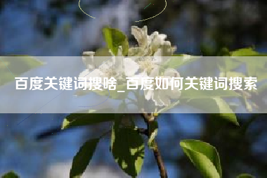 百度关键词搜啥_百度如何关键词搜索