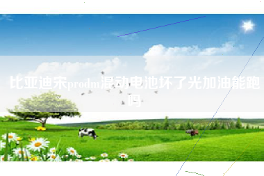 比亚迪宋prodm混动电池坏了光加油能跑吗