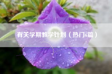 有关学期教学计划（热门6篇）