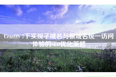 CentOS 7下实现子域名与根域名统一访问体验的SEO优化策略