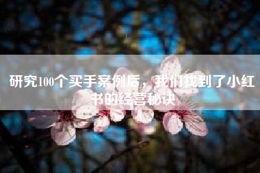 研究100个买手案例后，我们找到了小红书的经营秘诀
