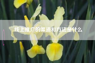 线上推广的渠道和方法是什么