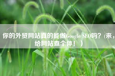 你的外贸网站真的能做Google SEO吗？(来，给网站查个体！）