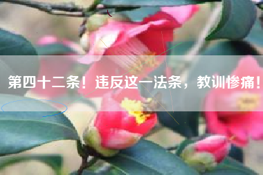 第四十二条！违反这一法条，教训惨痛！