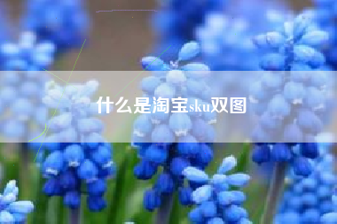 什么是淘宝sku双图