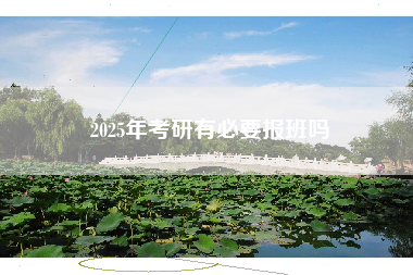 2025年考研有必要报班吗