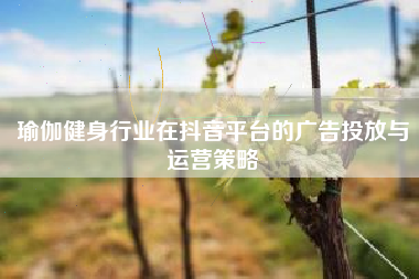 瑜伽健身行业在抖音平台的广告投放与运营策略