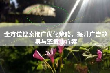 全方位搜索推广优化策略，提升广告效果与率解决方案
