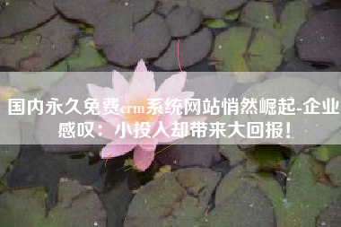 国内永久免费crm系统网站悄然崛起-企业感叹：小投入却带来大回报！