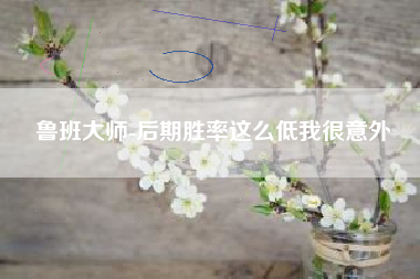 鲁班大师-后期胜率这么低我很意外