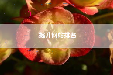 提升网站排名