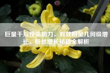 巨量千川投流助力，有效粉呈几何级增长，粉丝增长秘籍全解析