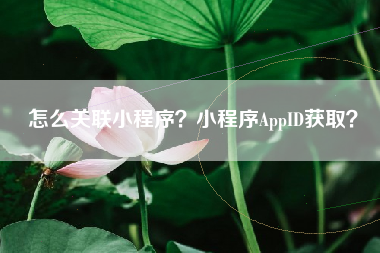 怎么关联小程序？小程序AppID获取？