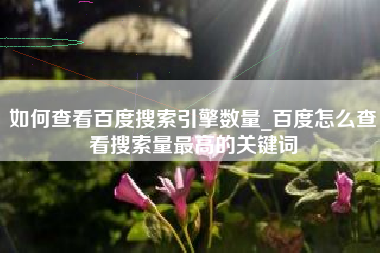 如何查看百度搜索引擎数量_百度怎么查看搜索量最高的关键词