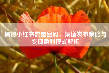 揭秘小红书流量密码，渠道发布策略与变现盈利模式解析
