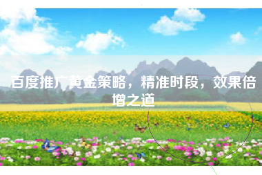 百度推广黄金策略，精准时段，效果倍增之道