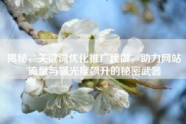 揭秘，关键词优化推广代做，助力网站流量与曝光度飙升的秘密武器