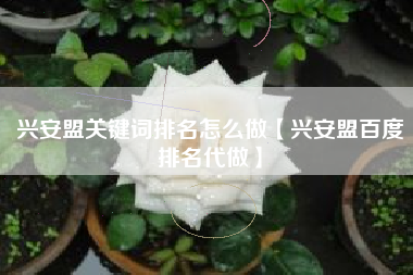 兴安盟关键词排名怎么做【兴安盟百度排名代做】