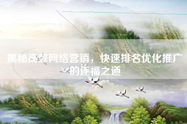 揭秘高效网络营销，快速排名优化推广的逐福之道