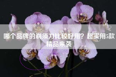 哪个品牌的剃须刀比较好用？超实用5款精品来袭