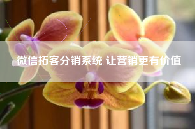 微信拓客分销系统 让营销更有价值