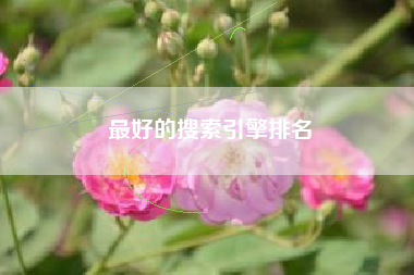 最好的搜索引擎排名