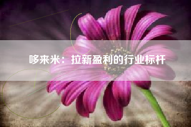 哆来米：拉新盈利的行业标杆